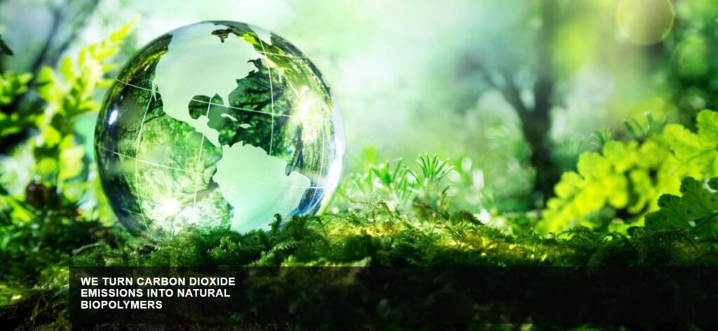 Picture of a green forest with the earth globe in green on the foreground and title "CO2BioClean turn carbon dioxide emissions into natural biopolymers"