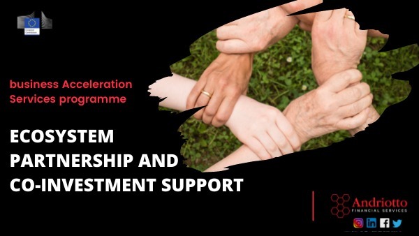 Business Acceleration Services Programme: Ecosystem Partnership and Co-investment Support